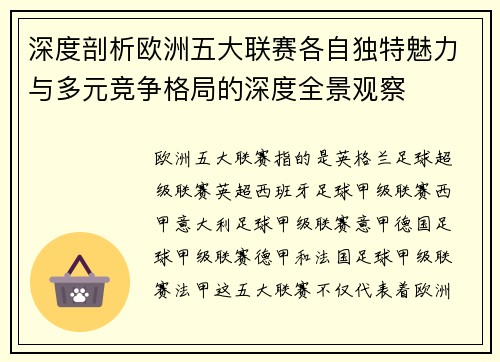 深度剖析欧洲五大联赛各自独特魅力与多元竞争格局的深度全景观察 深度剖析欧洲五大联赛各自独特魅力与多元竞争格局的深度全景观察