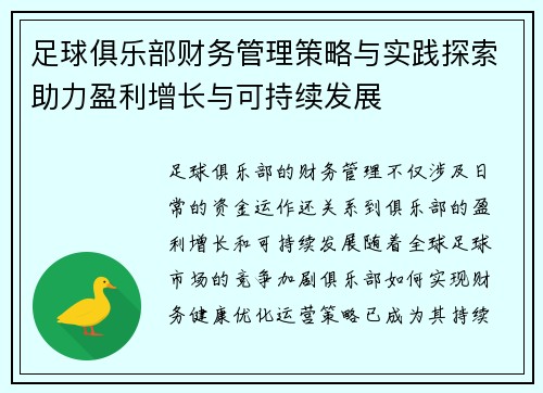 足球俱乐部财务管理策略与实践探索助力盈利增长与可持续发展